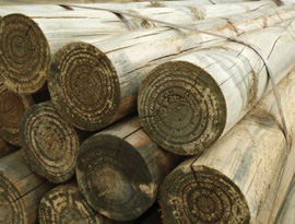 furniture works in kannur6
