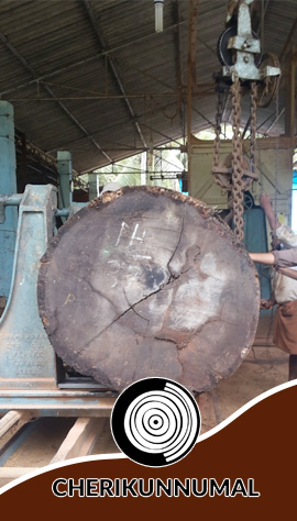 timber delears in kozhikode
